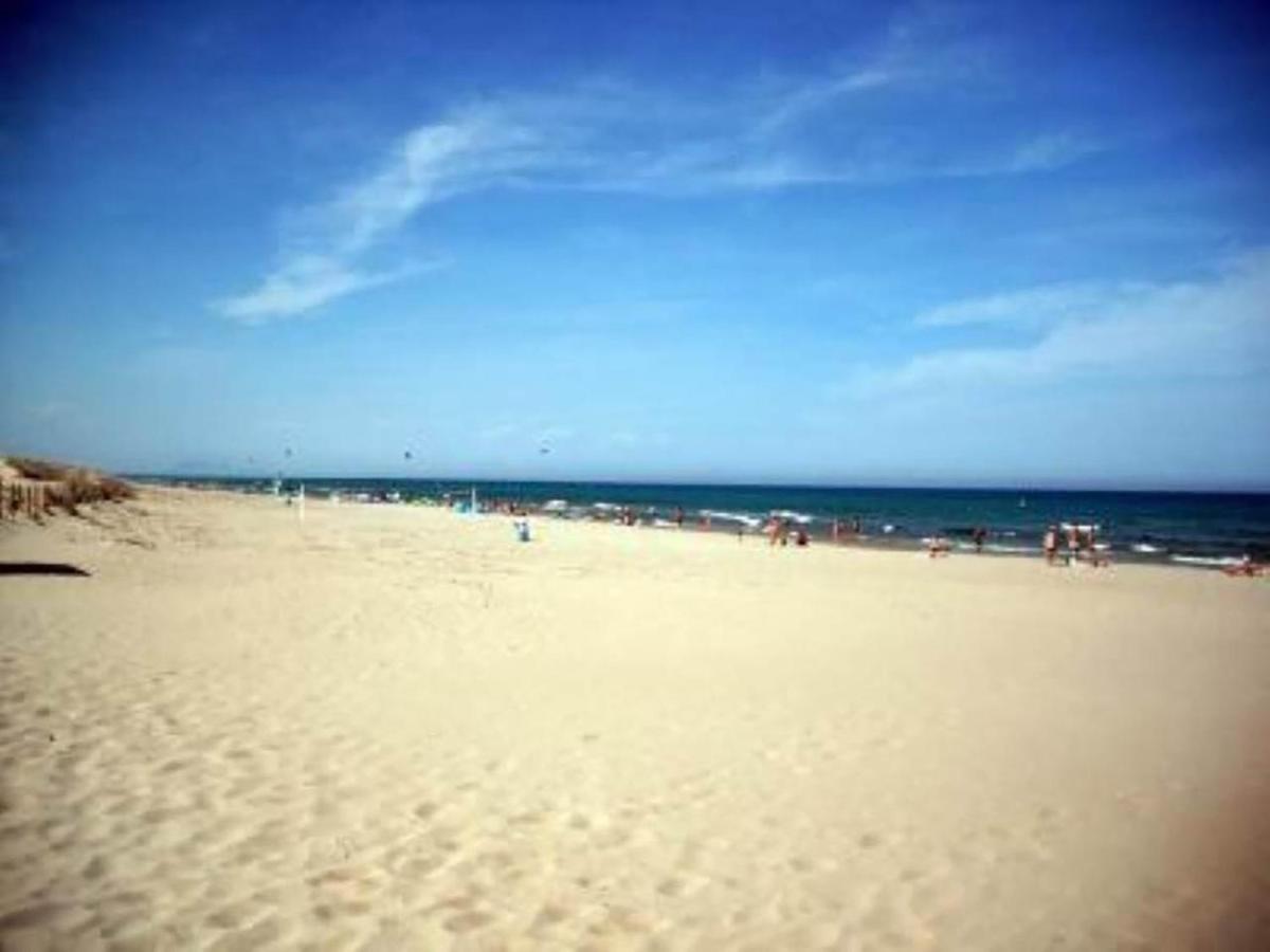 Splendido Appartamento Fronte Mare Vista Spiaggia - Prima Linea Mare トレビエハ エクステリア 写真